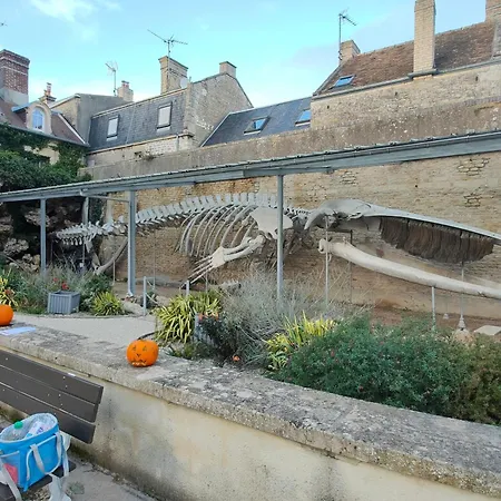 شقة A 50 M De La Mer, Ideal Famille